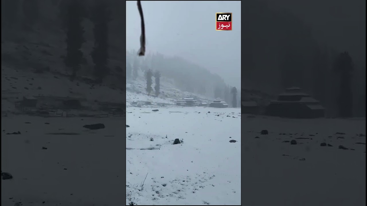 Snowfall in Gilgit Baltistan #snow #weather #shorts #pakistan