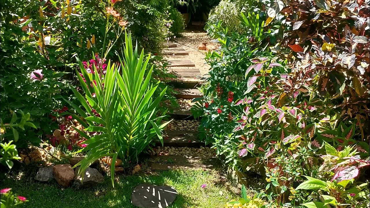 Novo caminho no jardim 🏡🌿🌷🌱🌹