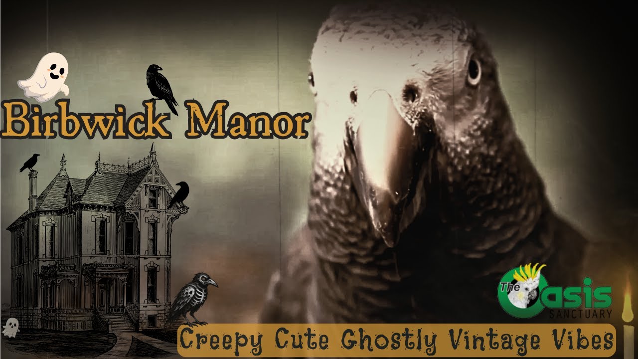 Birbwick Manor👻Creepy-Cute Ghostly Music for Birds🕯️Vintage Haunted Vibes for Your Bird Room Buddy🎃