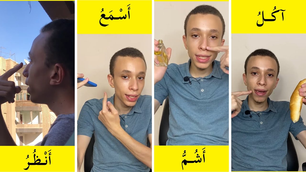 (37) الحواس الخمس (تدريبات هداية) || وحدة جسمي سليم|| الجزء الثاني  ll سلسلة كنوز