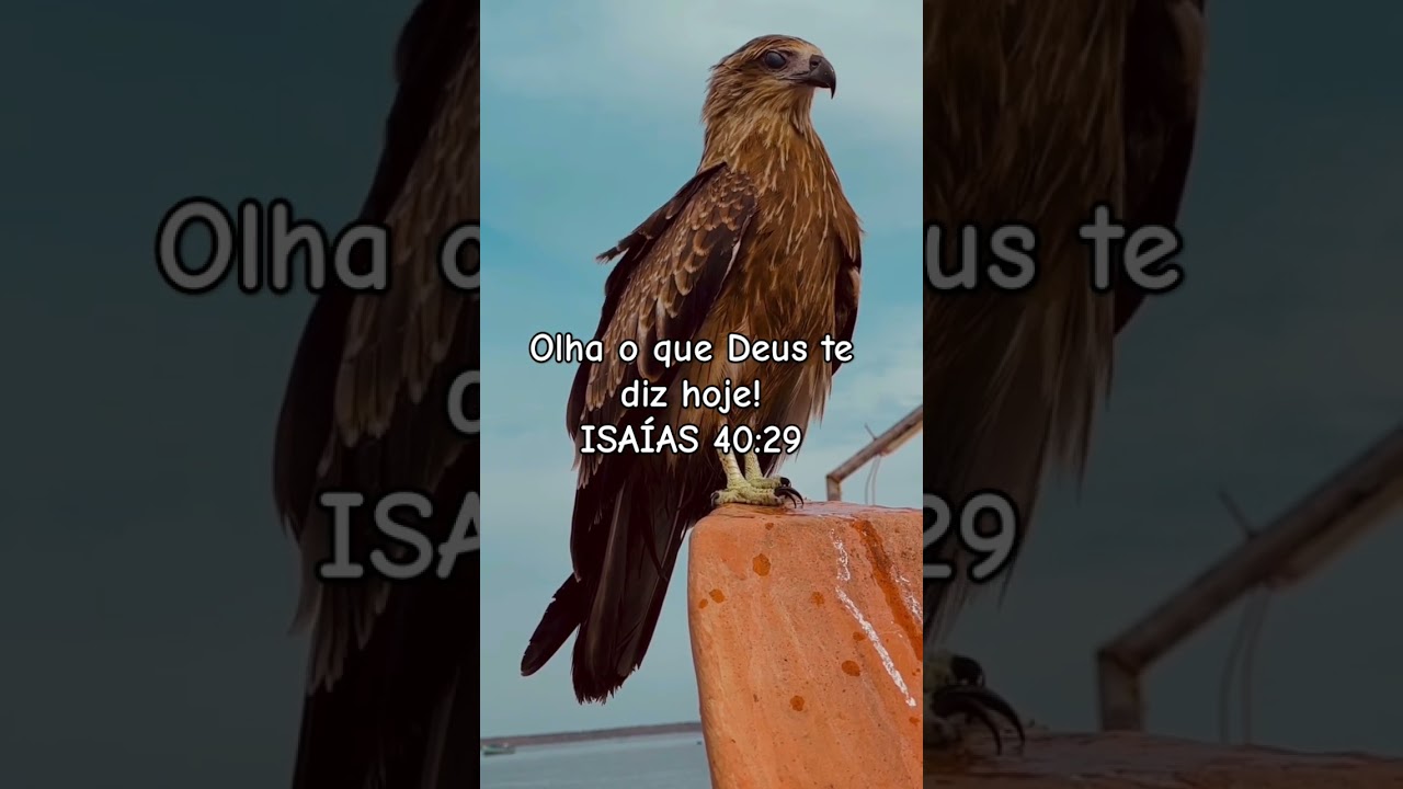 Olha o que Deus te diz hoje #motivation #ora&ccedil;&atilde;o #religion #deus #jesus #f&eacute; #gratid&atilde;o #amen #catolico