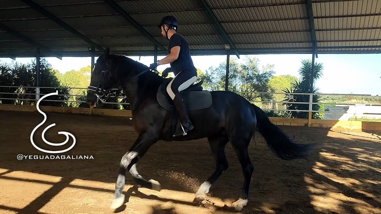Examen GALOPE 6🐴