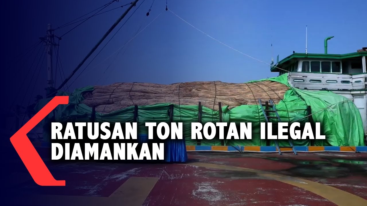 Polairud Polda Kalbar Amankan Ratusan Ton Rotan Ilegal yang akan Dikirim ke Malaysia