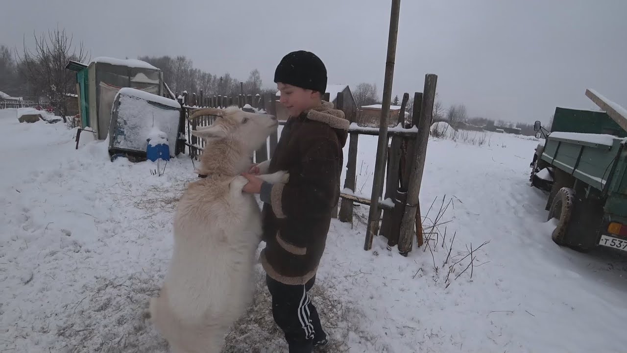 Мои выходные! Коньки, лошади, парапланы / Влог