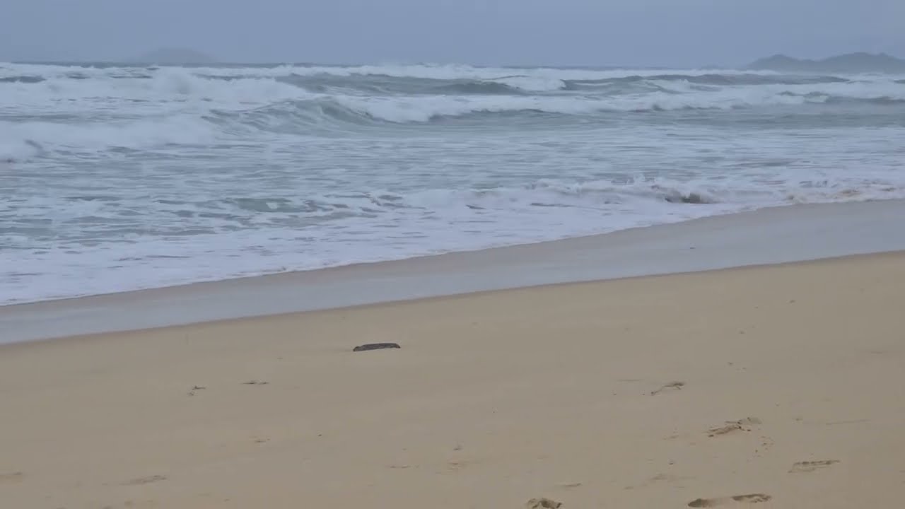 Wild Ocean Waves on a Stormy Day