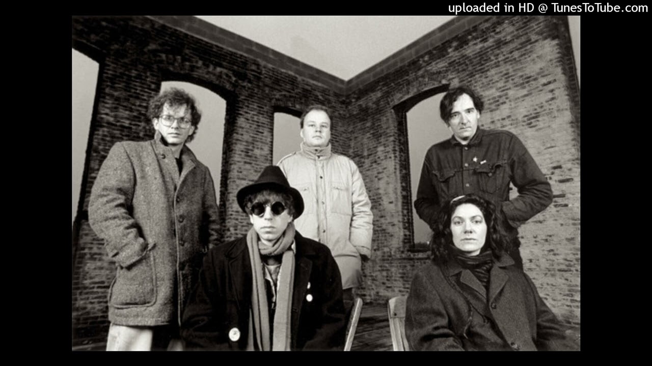 The Feelies - On The Roof