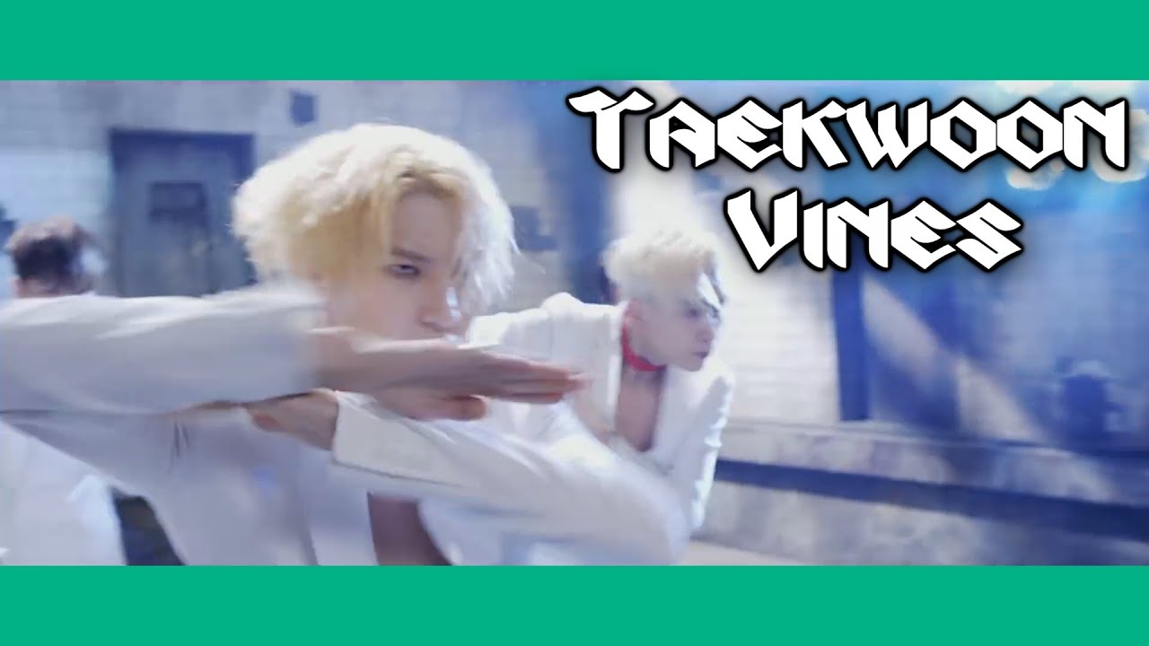 Taekwoon [ Leo ] Vines Compilation 2