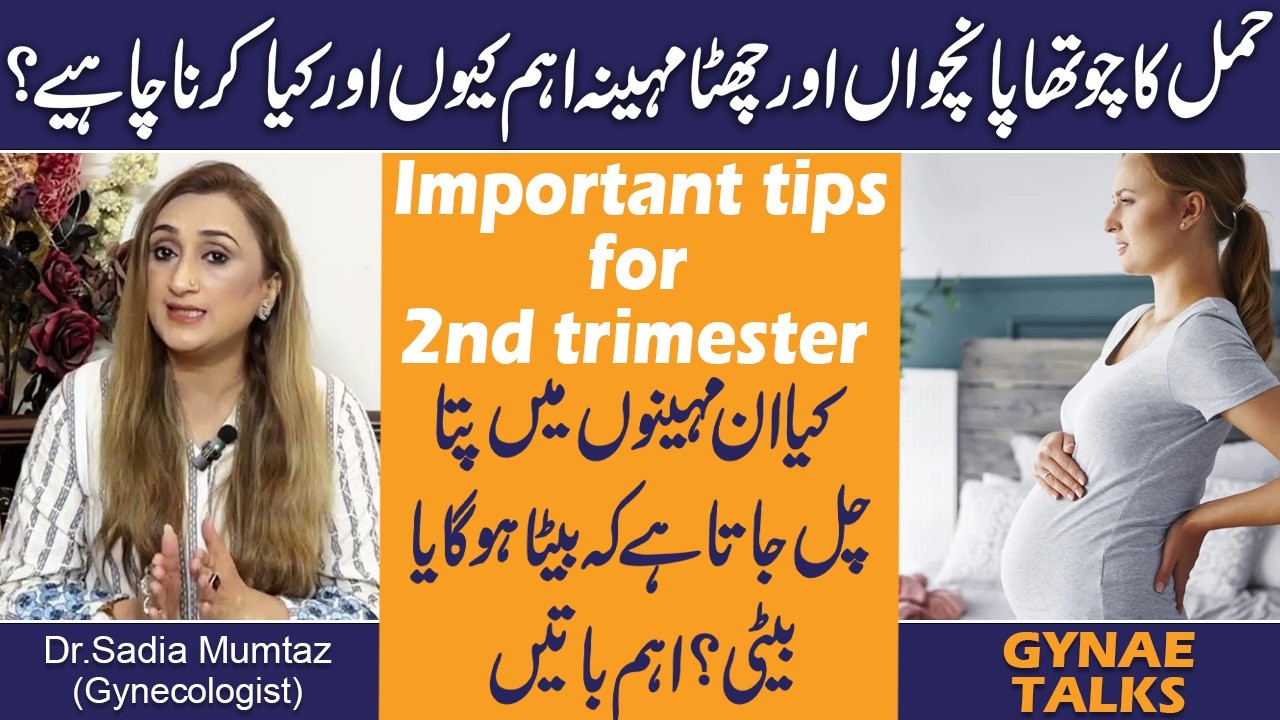 Hamal Ka 4th 5th or 6th Month Kyun Zarori Hota? Important Tips For 2nd Trimester | Gynae Talks