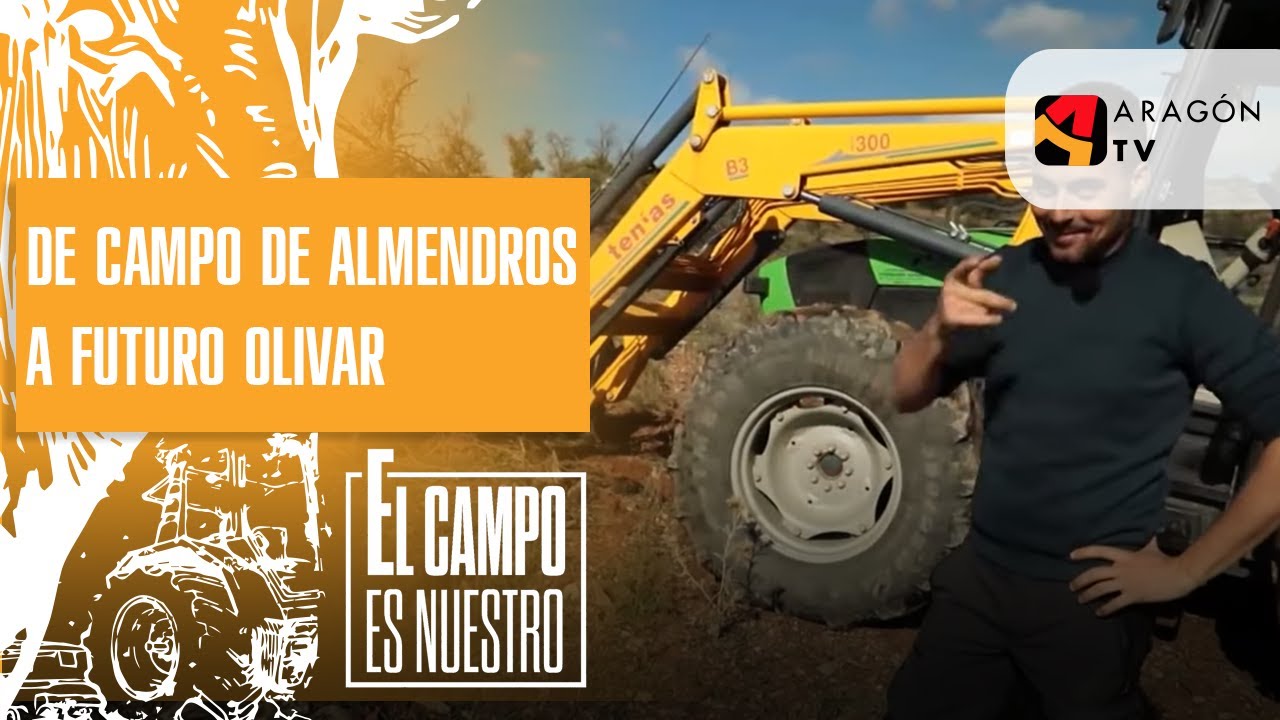De campo de almendros a futuro olivar