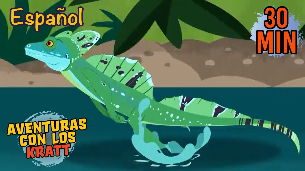 Carrera Acuática | Animales y Ejercicio | Aventuras con los Kratt | 9 Story Kids en Español