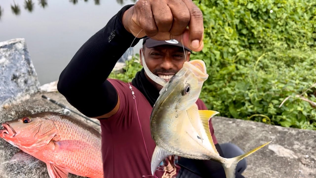 ചില ദിവസങ്ങളിൽ ഇങ്ങനാണ്. ./Fishing