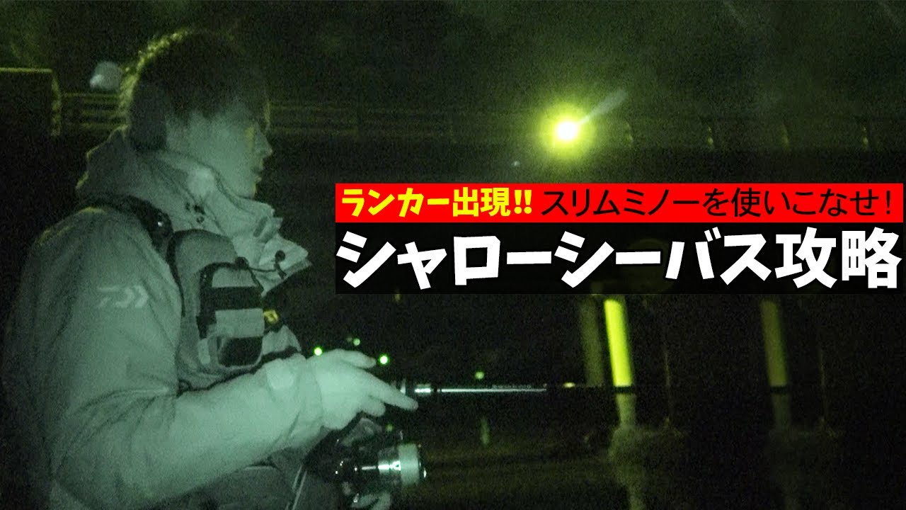 《85cm出現!!》ビッグシーバスを超浅いポイントで狙い撃つ！！