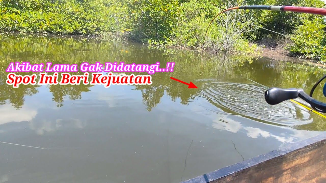 Tiga Minggu Gak Didatangi Spot Ini Beri Kejutan