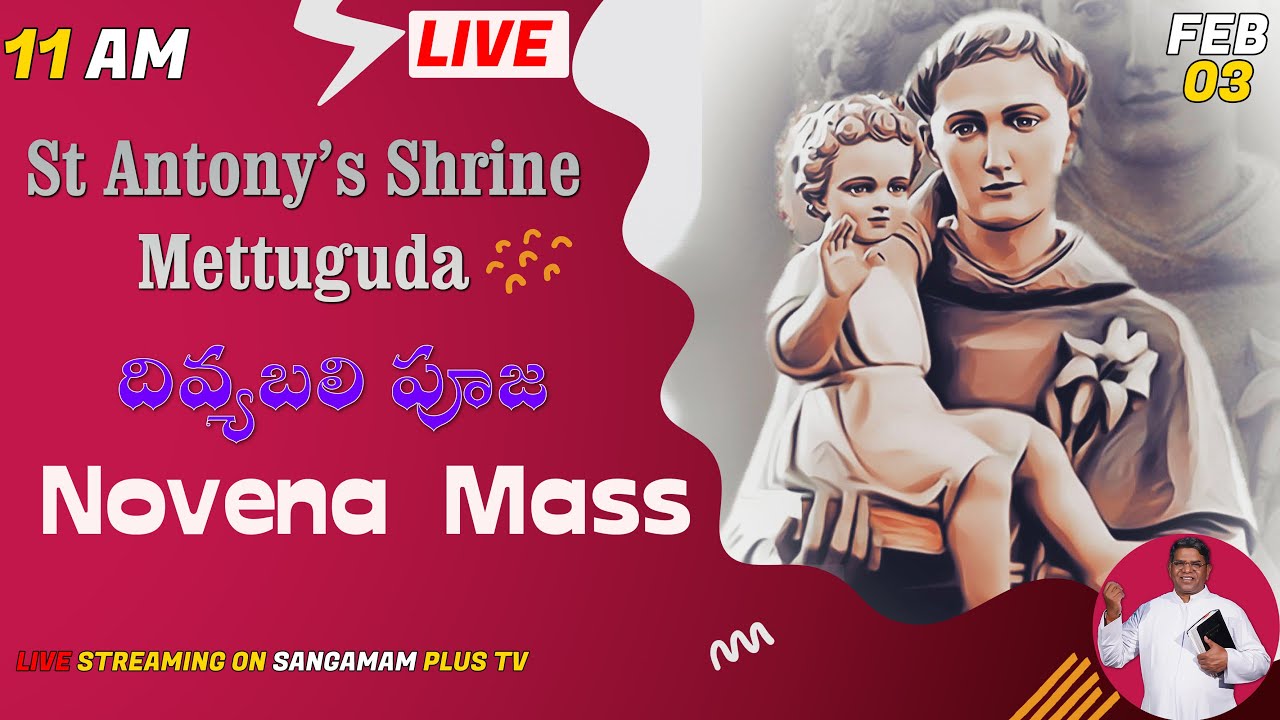 St Antony's Novena | Rev Fr Christuraj SHS | Holy Mass & Healing Prayer | 3rd Feb 2026 | 11am