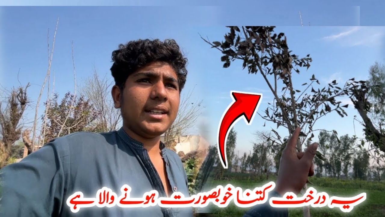 Ma village routine vlog dily 2026 