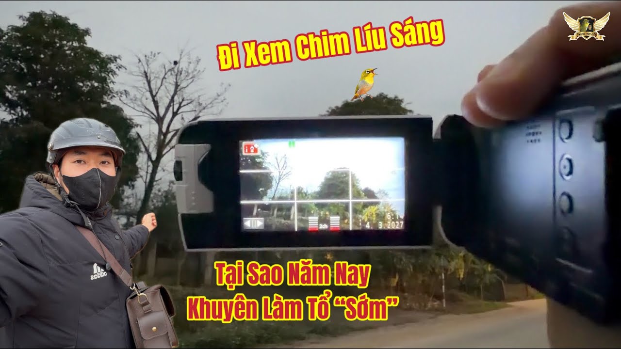 Đi Xem Chim Líu Sáng Ở Quê - Vì Sao Khuyên Năm Nay Làm Tổ Sớm? | KTB