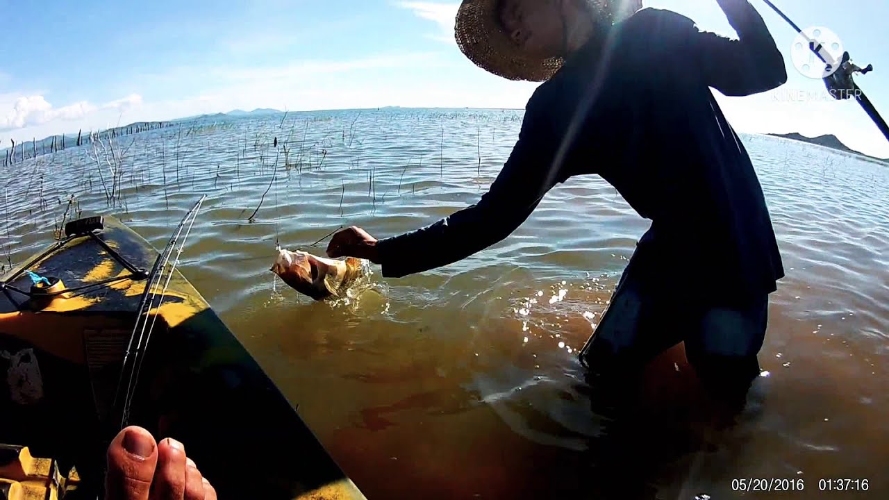 pesca#pescaesportiva#caiaque#tucunare# Melhor pescaria em Remanso da Bahia.