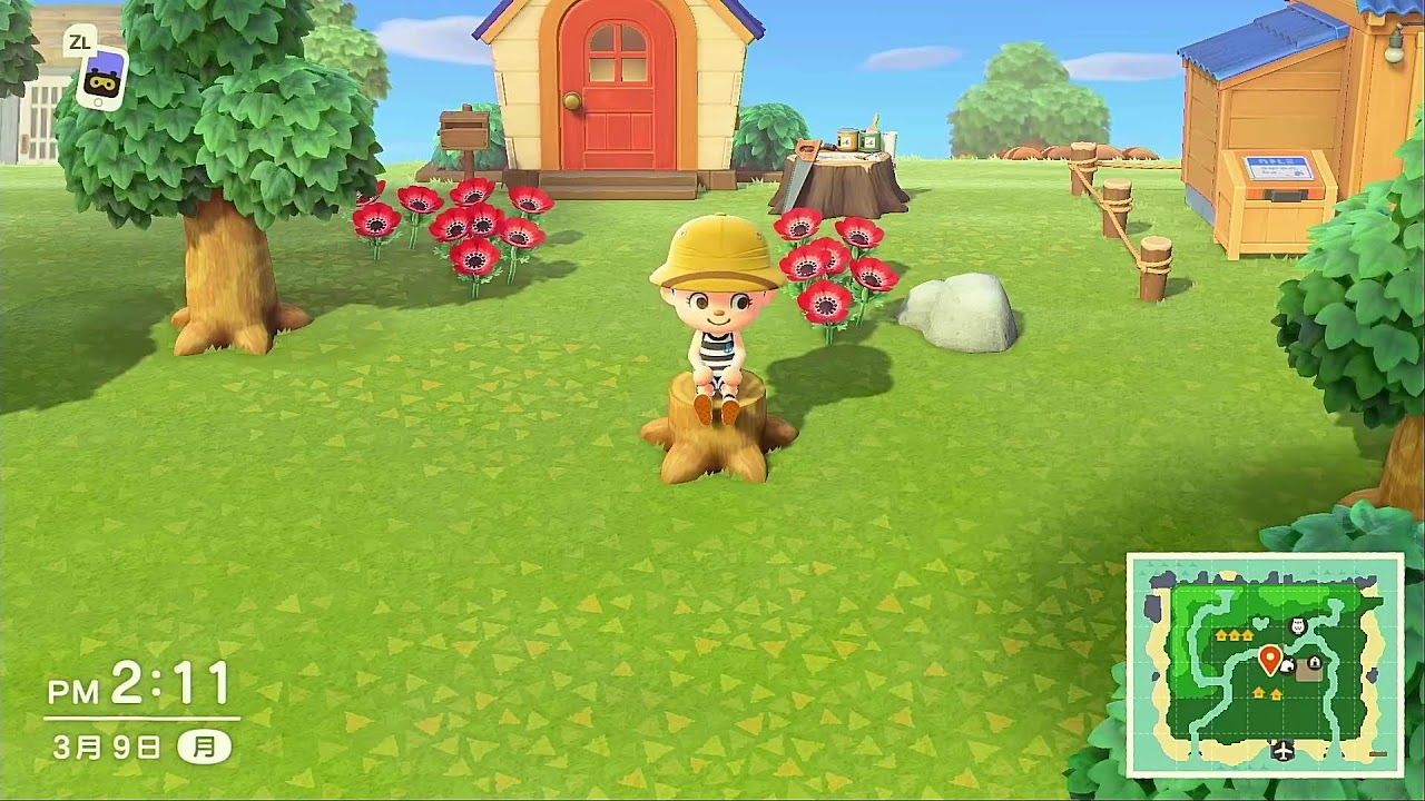 集まれどうぶつの森