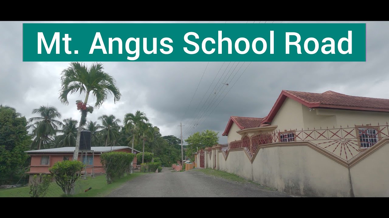 Mt. Angus School Road, St Mary, Jamaica