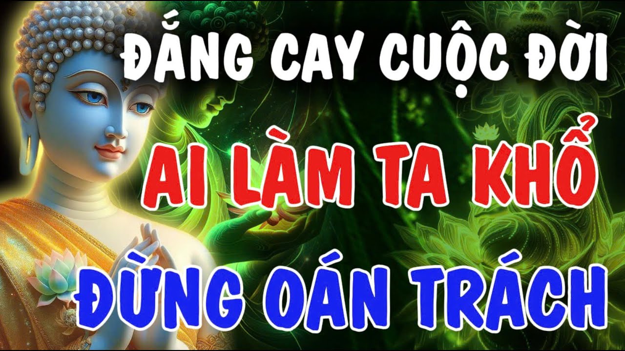 ĐẮNG CAY CUỘC ĐỜI - AI LÀM TA KHỔ, XIN ĐỪNG OÁN TRÁCH NHÂN QUẢ TRẢ ĐỦ | Phật Từ An Nhiên