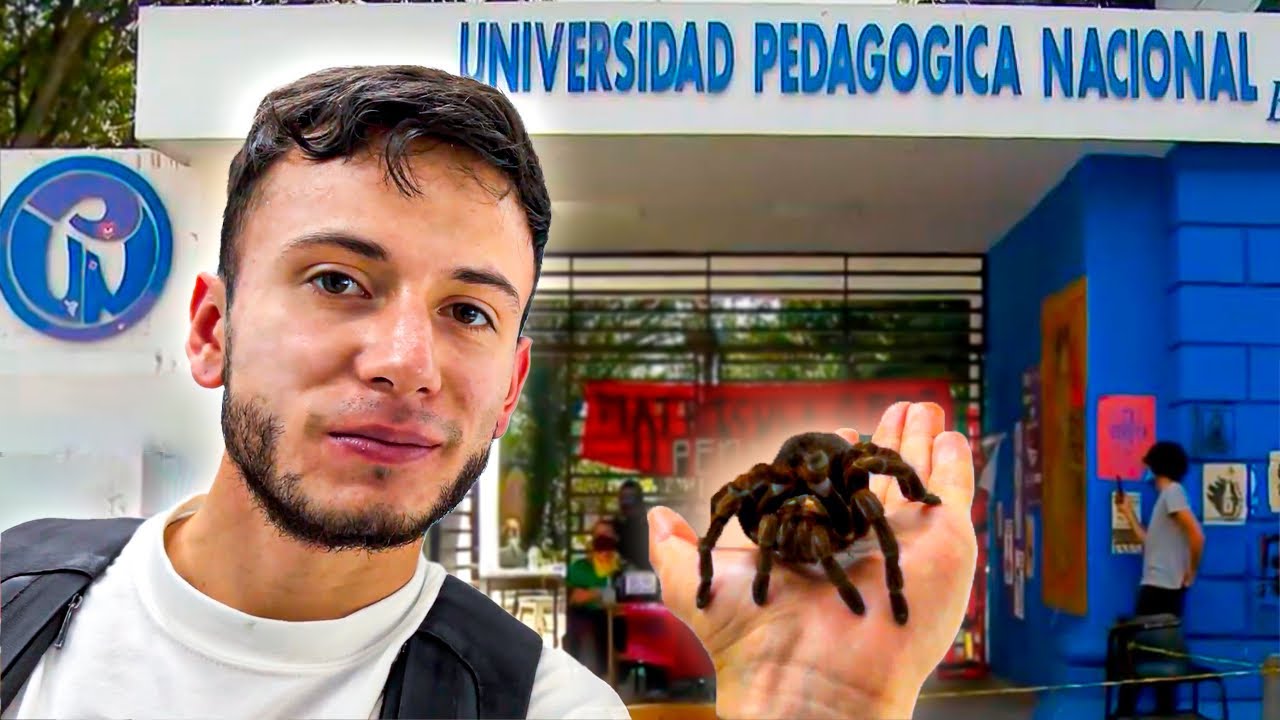 Lo que OCULTA la UPN la EDUCADORA de EDUCADORES - Cris sin limite