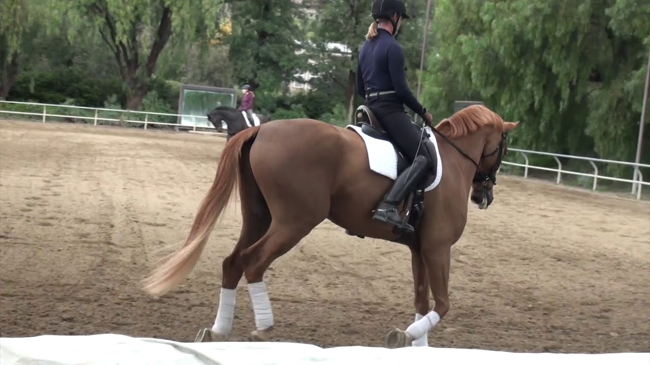 How I warm up my horse...