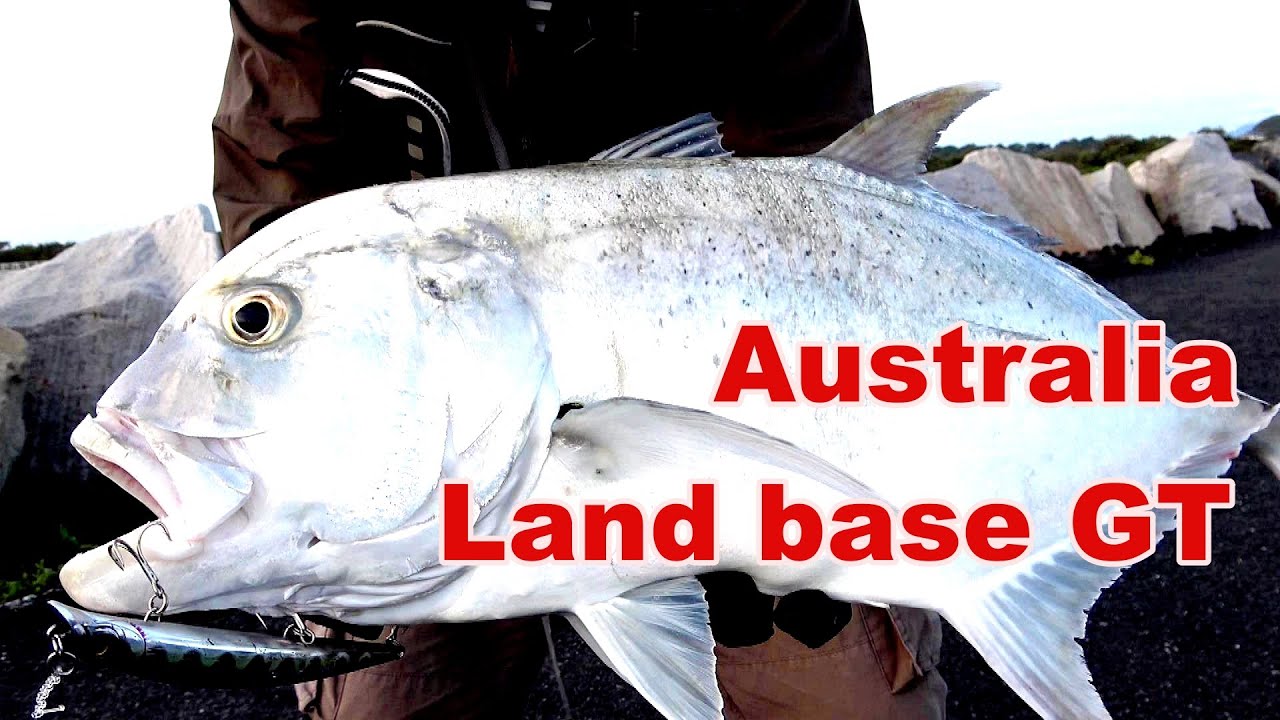 Land base  GT Australia Rpcky D fishing Vo.232