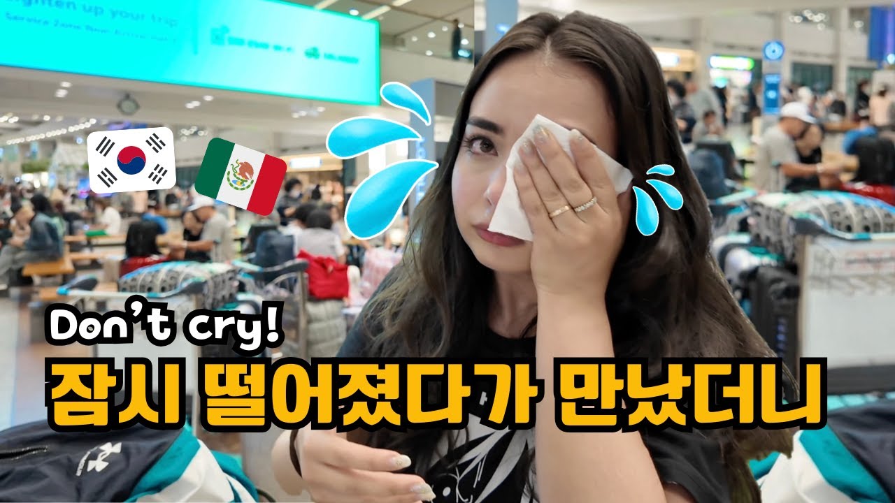 멕시코에서 한달만에 한국으로 다시 돌아왔다