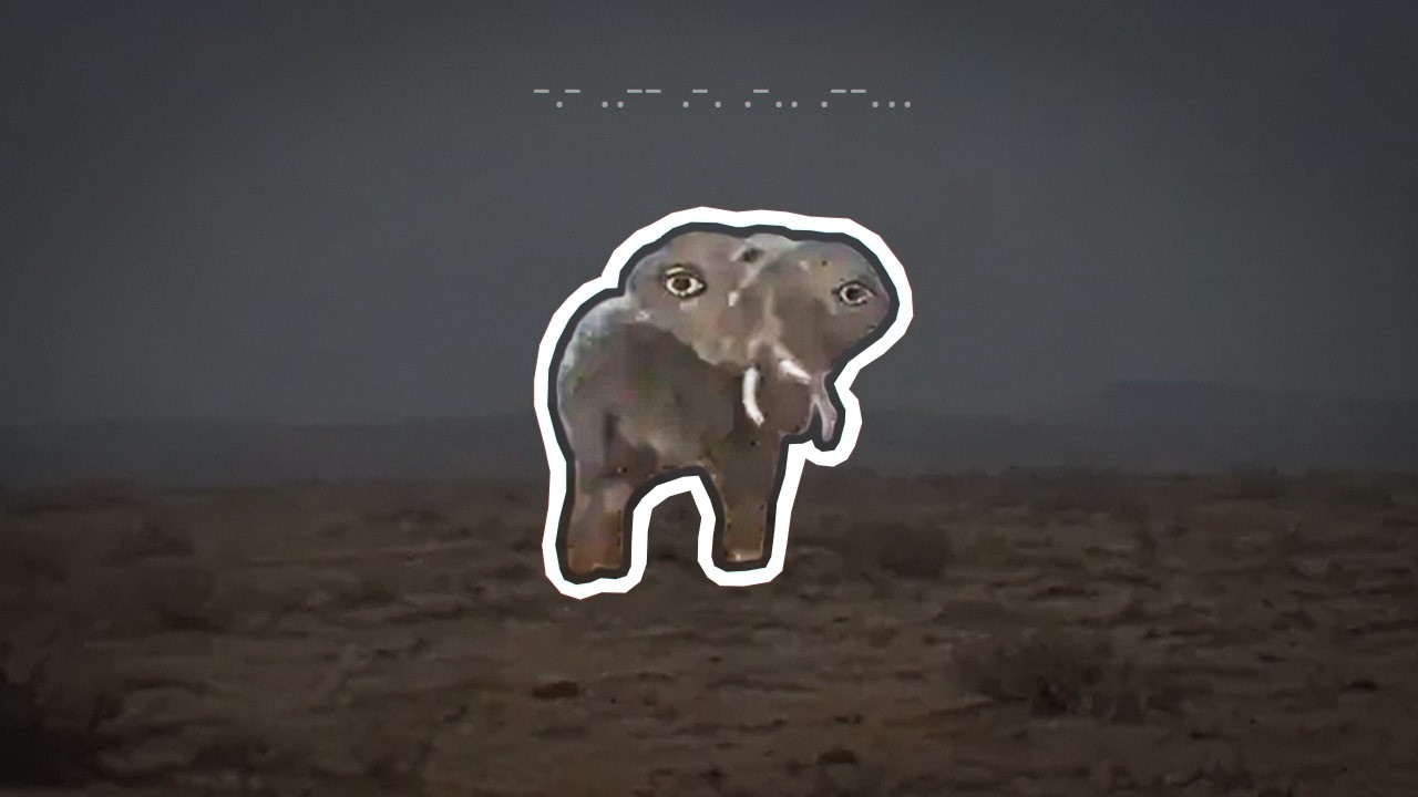 ELEPHANT FROM 2028 &ndash; WHERE DOES THE MEME COME FROM?