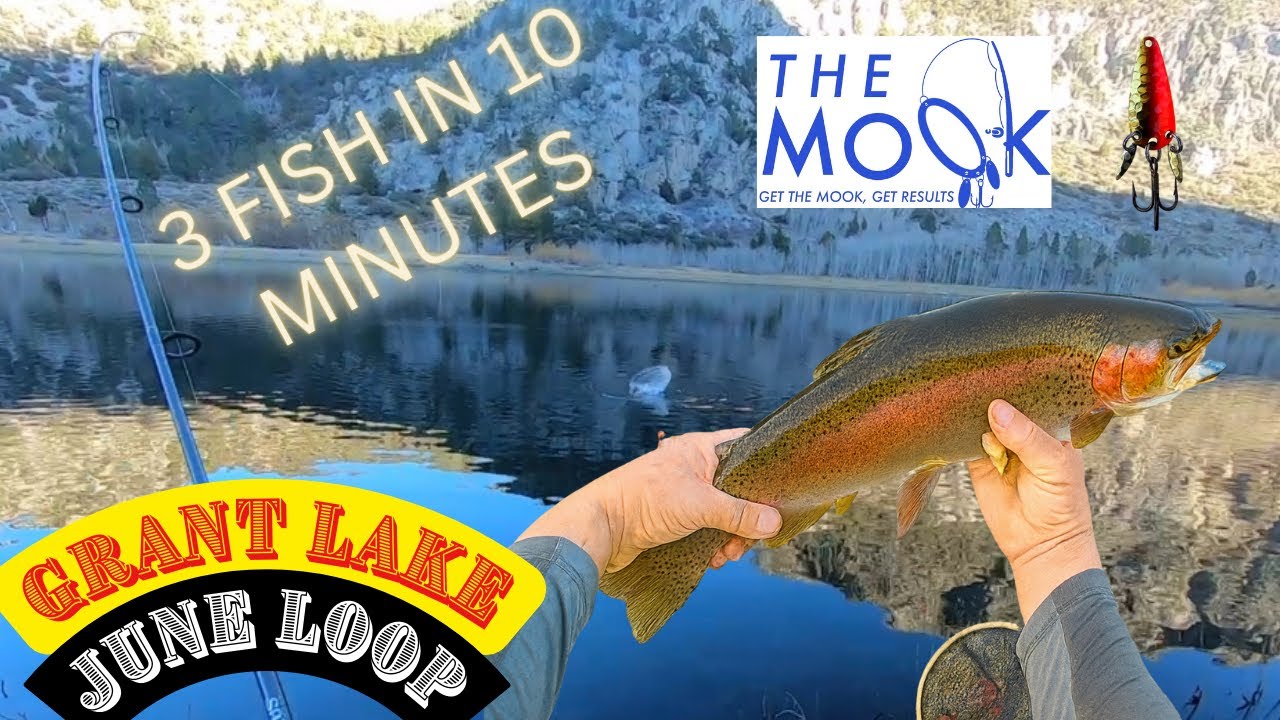 БОЛЬШАЯ РЫБА 🎣 🍁ОСЕННЯЯ РЫБАЛКА! ГРАНТ-ЛЕЙК-ОРЭНДЖ-МУК #вирусный #вирусноевидео #вирусноерыбалка