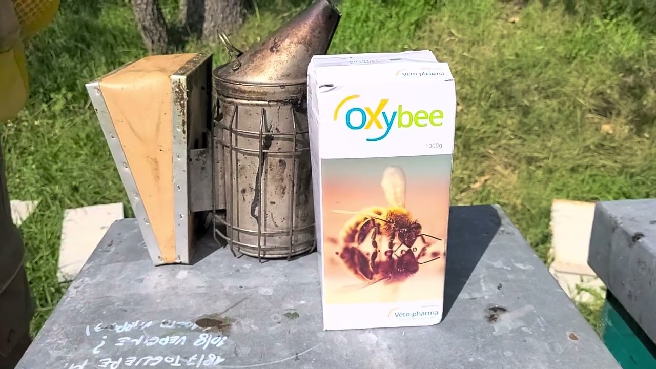 Apicoltura: blocco di covata autunnale e lotta alla varroa con Oxybee