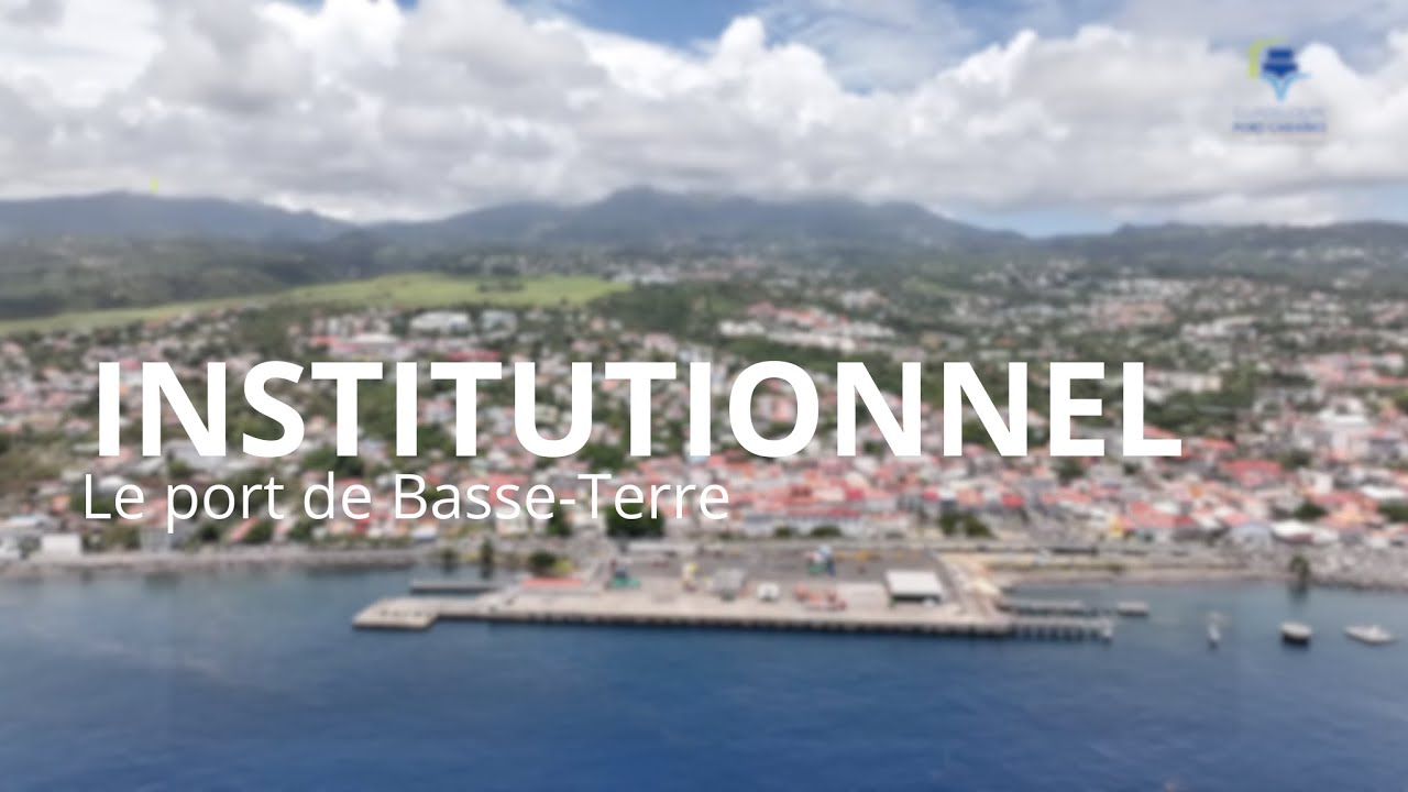 Mise en place d'écorécifs dans le port de Basse-Terre