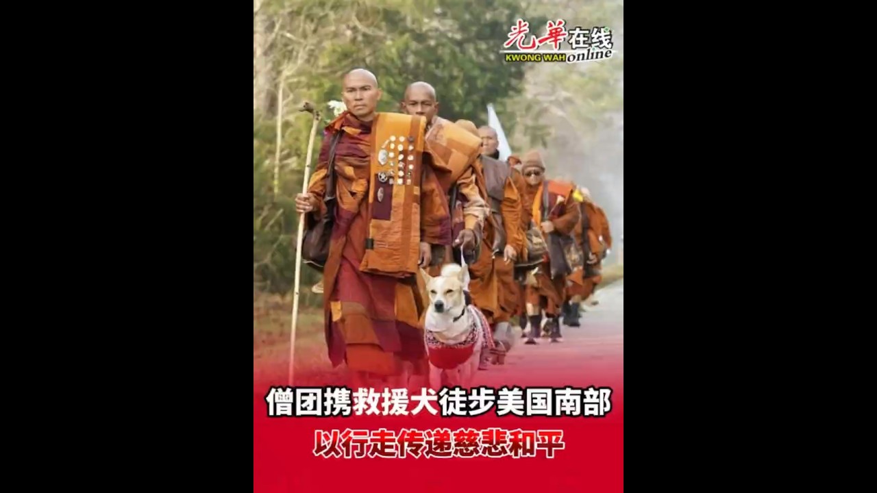 僧团携救援犬徒步美国南部  以行走传递慈悲和平