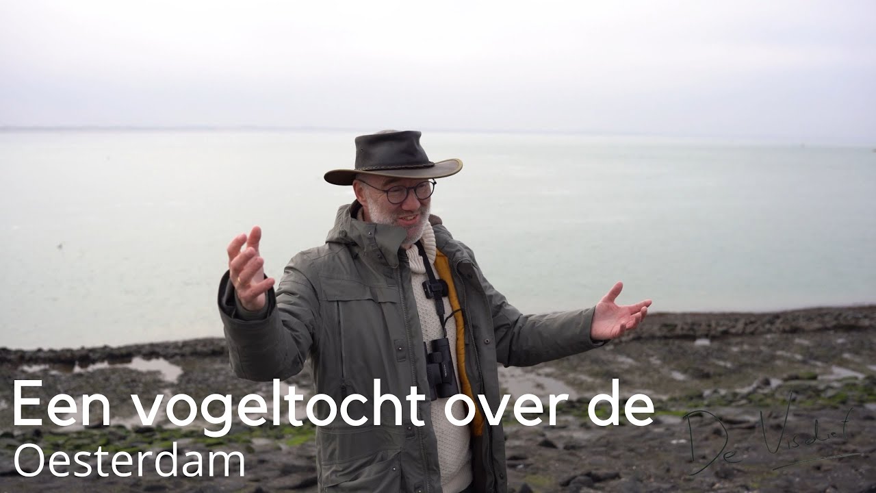 Een vogeltocht over de Oesterdam #1713