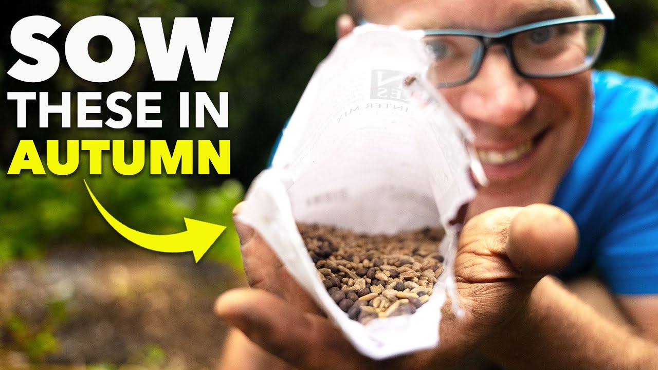 You Must Sow These Seeds in Autumn