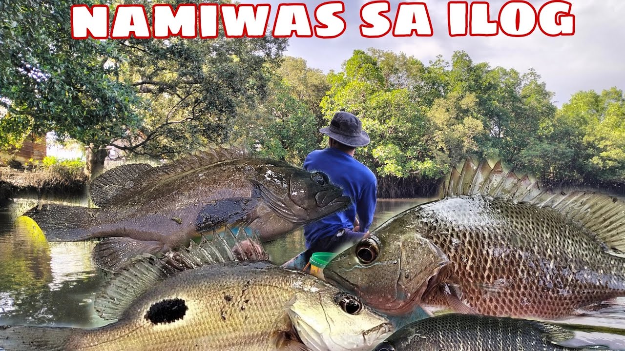 THANK YOU LORD MAY PANG ULAM NA NAMAN KAMI 