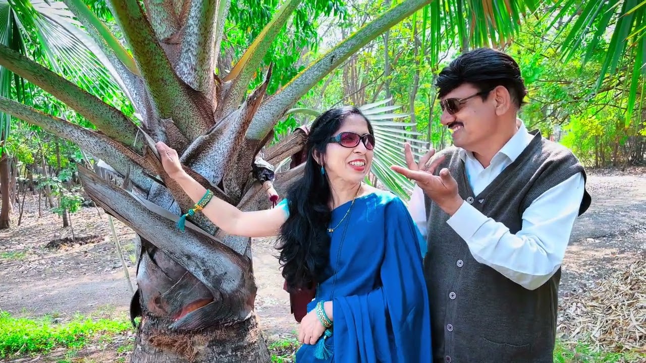 Dekha Ek Khwab Song | Sunil Sir and Shalini Mam | Old Vintage Post-Wedding in Nashik 