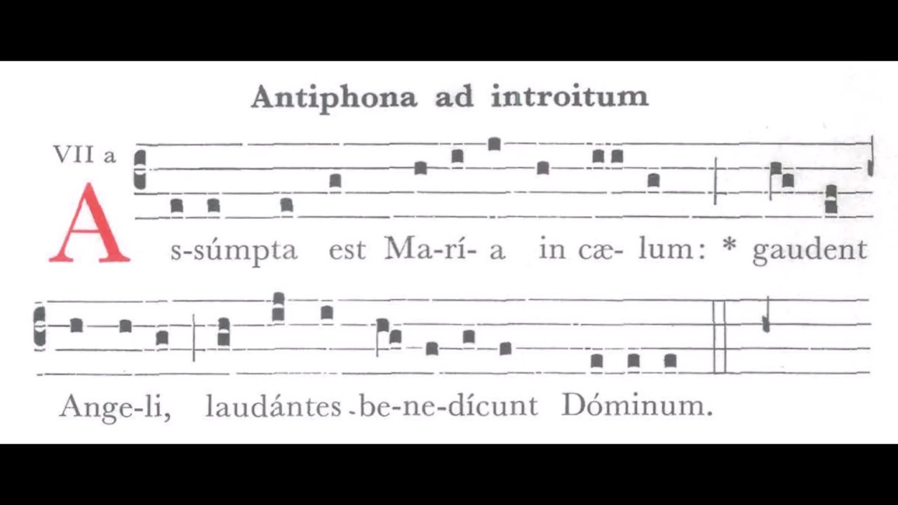 Assumpta est Maria in caelum - In Assumptione B. Mariae Virginis (15.08) - Graduale Simplex Introit
