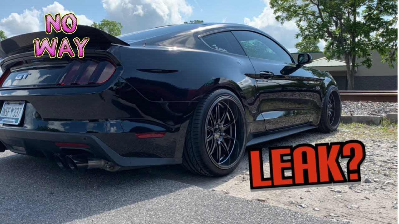 2015+ Mustang leaking oil? Watch this before going to the shop!!!