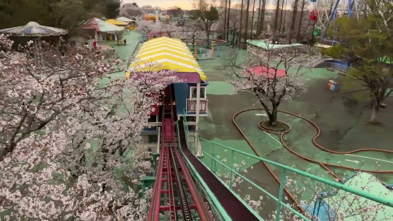 【むさしの村】桜の中を走行するサイクルコースター🌸2024年後ろ向きバージョン📹