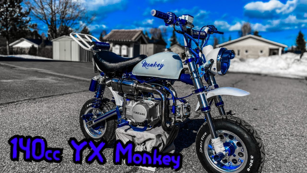 140cc YX Monkey Walkaround & Soundcheck