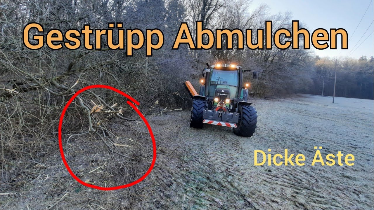 Wiesenränder freimulchen | Fendt 412 mit Votex Jumbo Flex 190