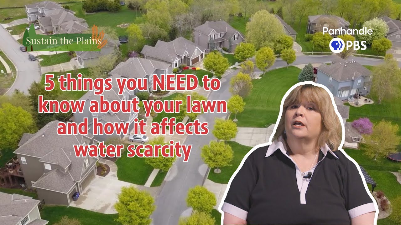 5 Things to Know About LAWNS | Sustain the Plains [Episode 22]