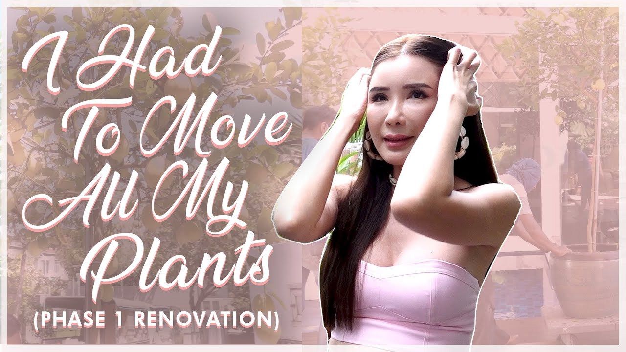 I HAD TO MOVE ALL MY PLANTS (PHASE 1 RENOVATION) | JAMIE CHUA