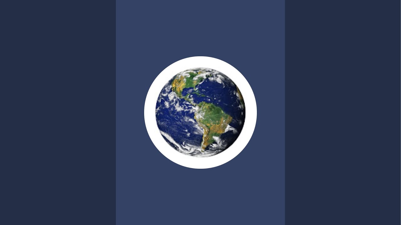 Птицы на кормушке 3.03.2026