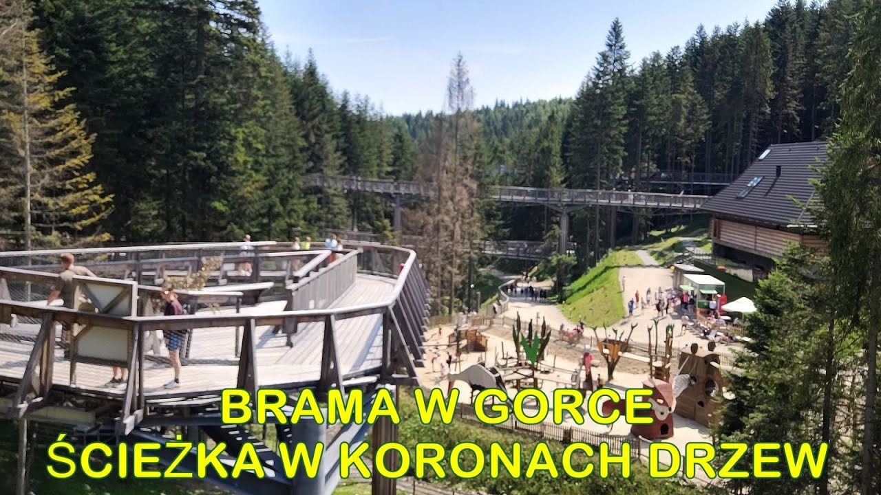 Brama w Gorce, sierpień 2025. Najdłuższa w Europie ścieżka w koronach drzew, Waksmund