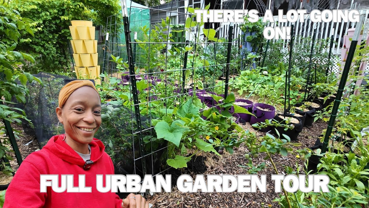 FULL Urban Garden Tour (Week 4 - 2025) | Virginia, Zone 7B (I Wish I Had Known)