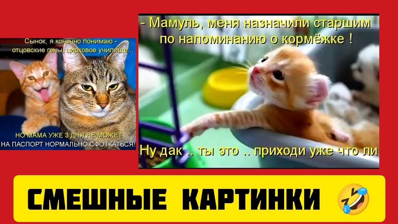 - Мамуль, меня назначили старшим по напоминанию о🥞 кормёжке!Ну дак .. ты этоدد приходи уже что ли.🤣