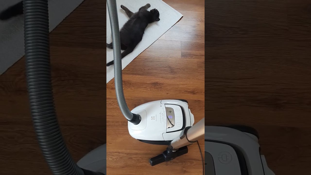 Cichy odkurzacz Electrolux - test