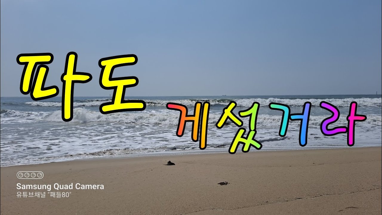 패들보드로 파도타기